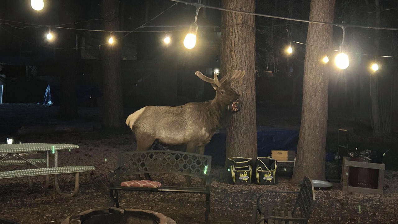 Photo of Outdoor in Christopher Creek