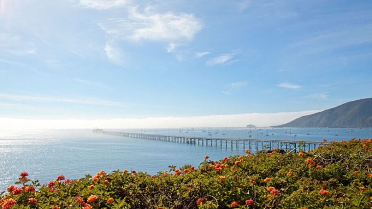 Photo of Others in Avila Beach