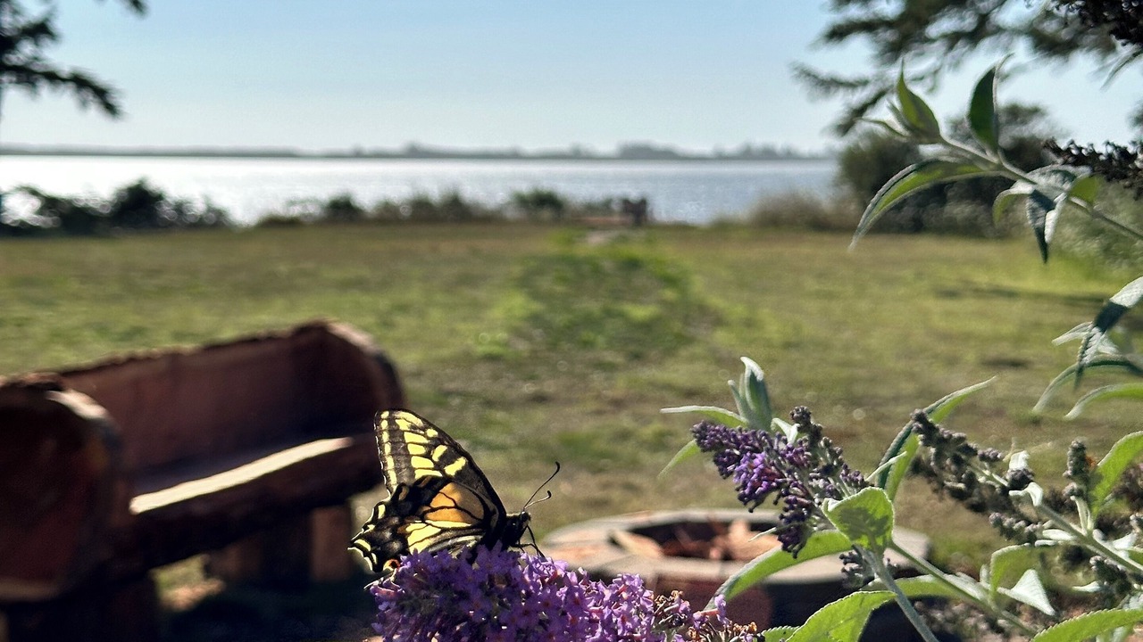 Photo of Outdoor in Crescent City