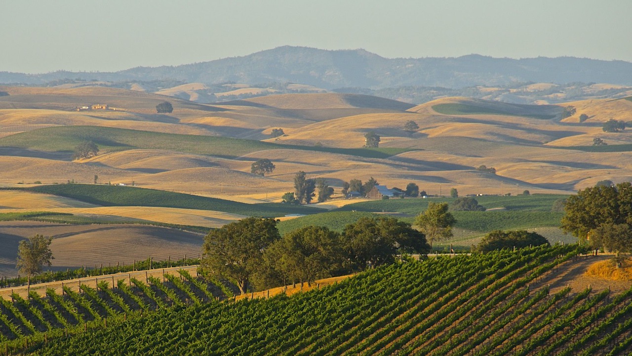 Photo of Others in Paso Robles