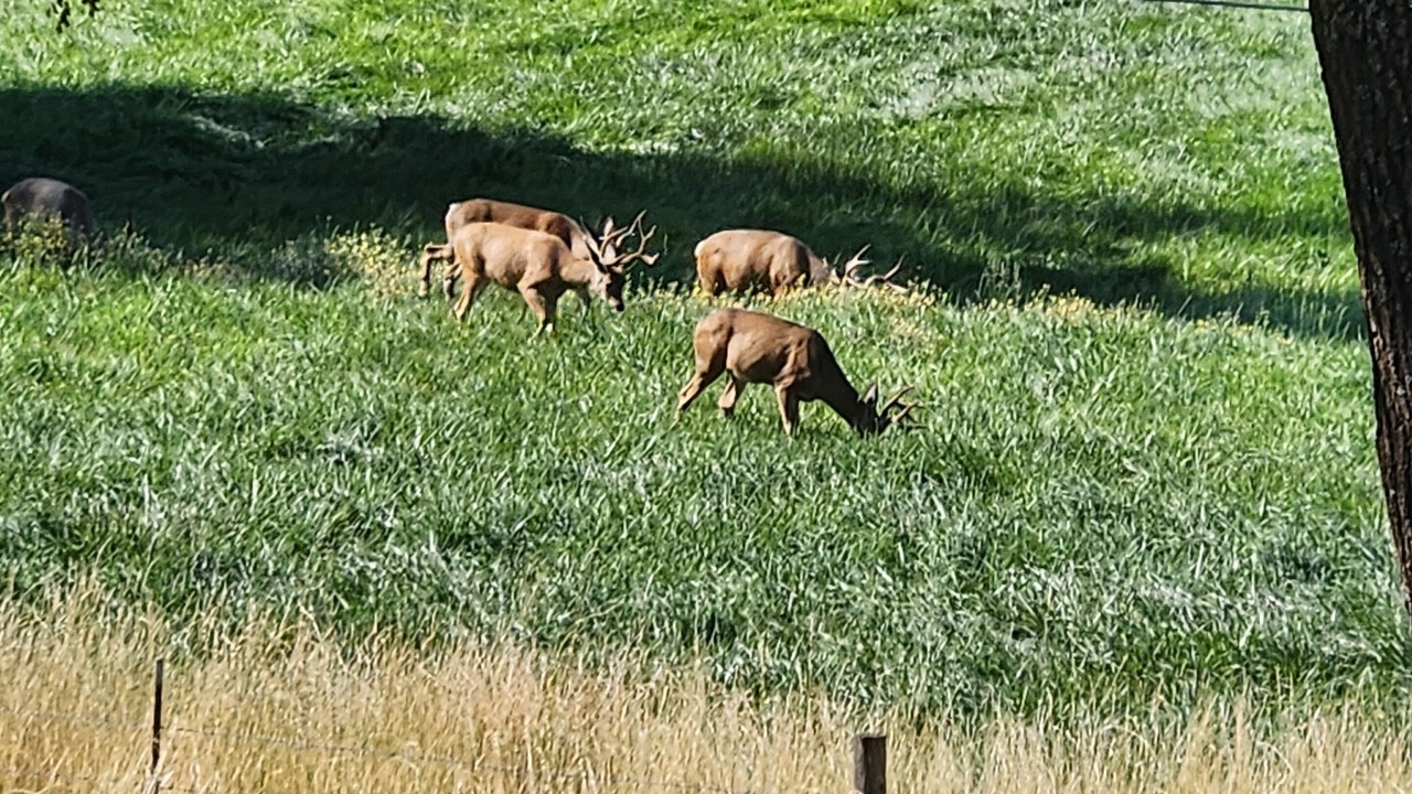 Photo of Outdoor in Quincy