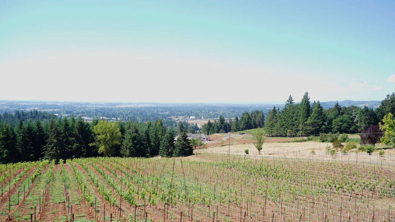 Photo of Others in Newberg