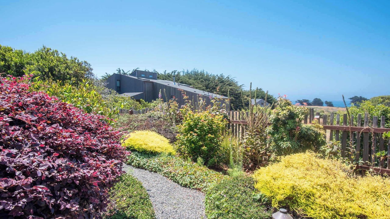 Photo of Outdoor in Sea Ranch