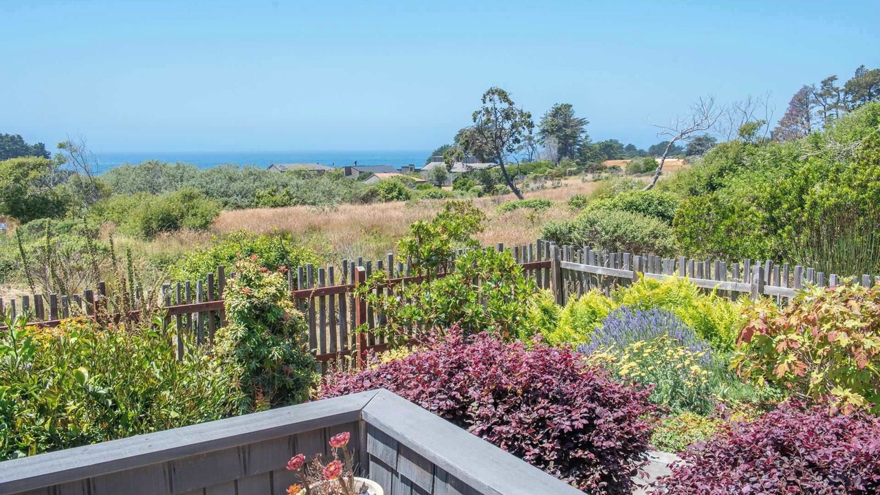 Photo of Others in Sea Ranch