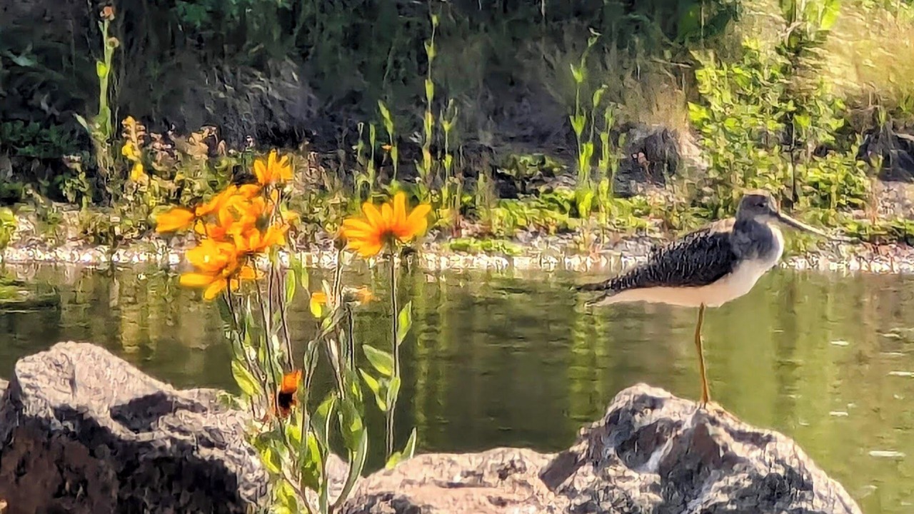Photo of Others in Bend