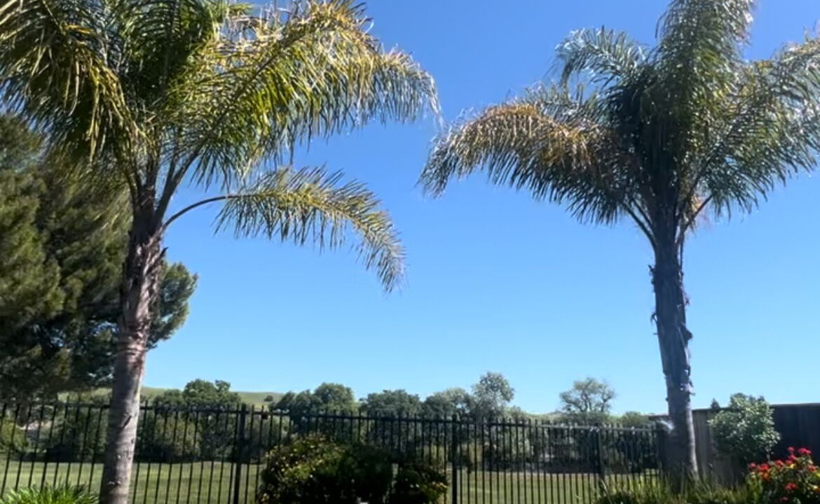 Photo of Outdoor in Fairfield