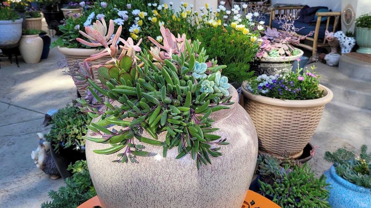 Photo of Outdoor in El Dorado Hills