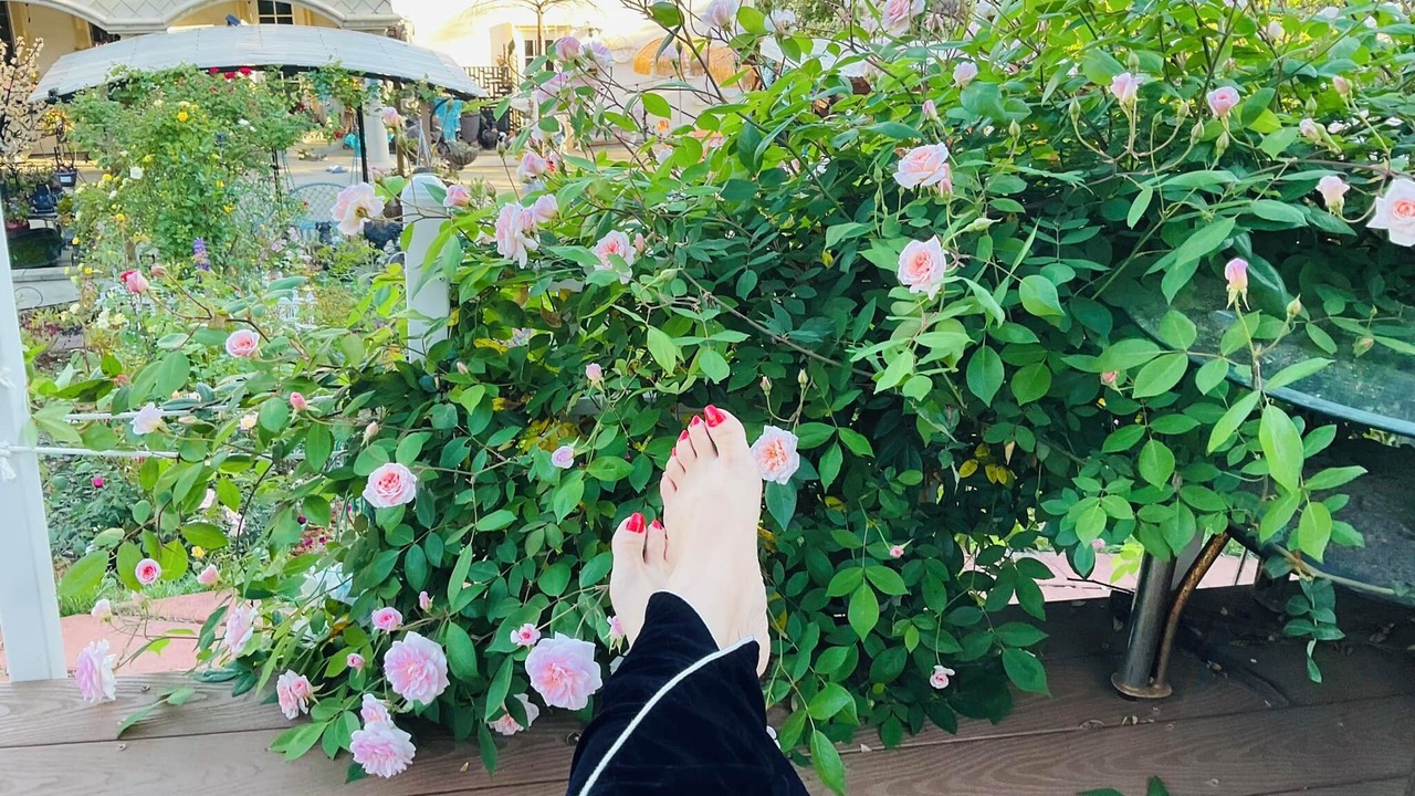 Photo of Outdoor in El Dorado Hills