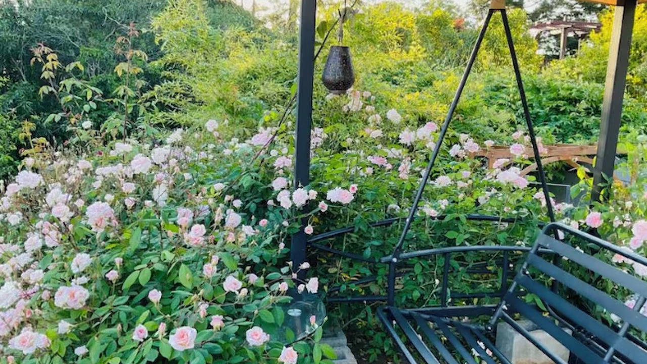 Photo of Outdoor in El Dorado Hills