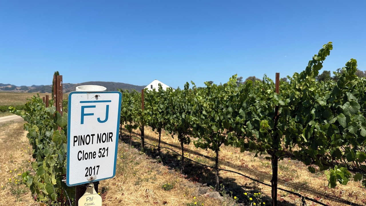 Photo of Outdoor in San Luis Obispo
