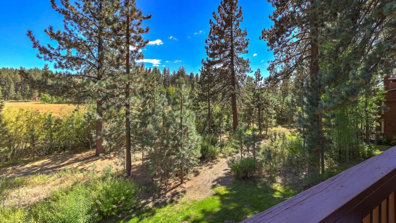 Photo of Outdoor in Zephyr Cove