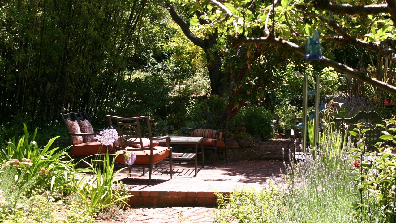 Photo of Outdoor in Stanford