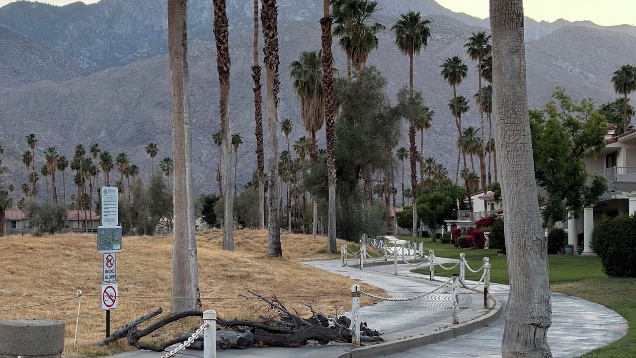 Photo of Others in Palm Springs