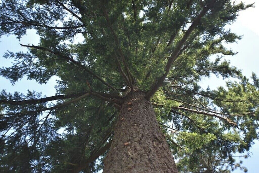 Photo of Outdoor in West Stayton