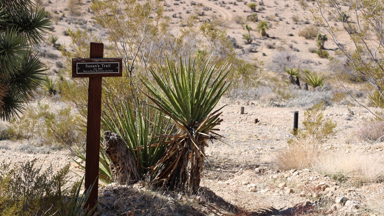 Photo of Outdoor in Meadview