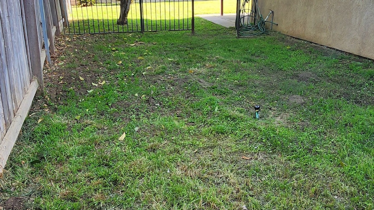 Photo of Outdoor in Kaweah