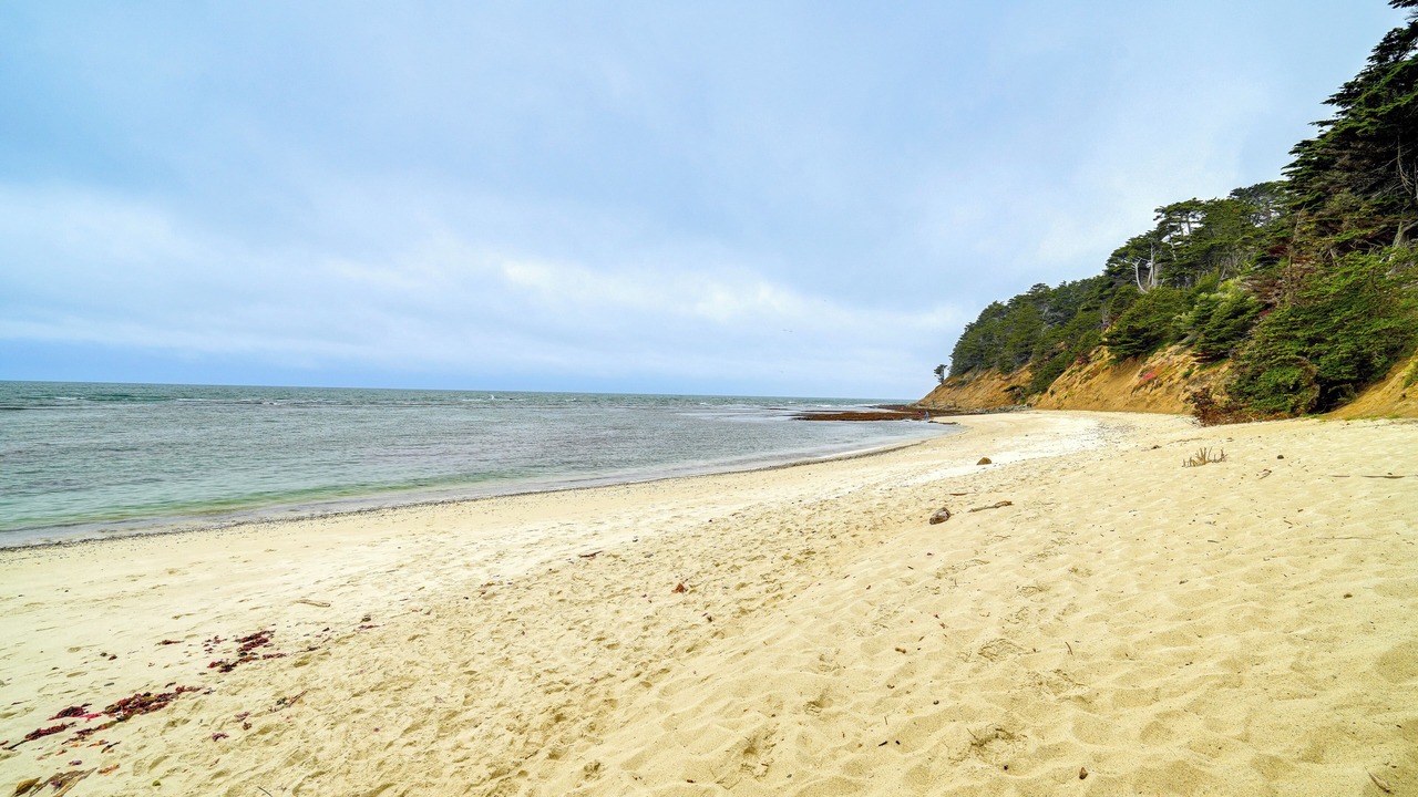 Photo of Others in Moss Beach