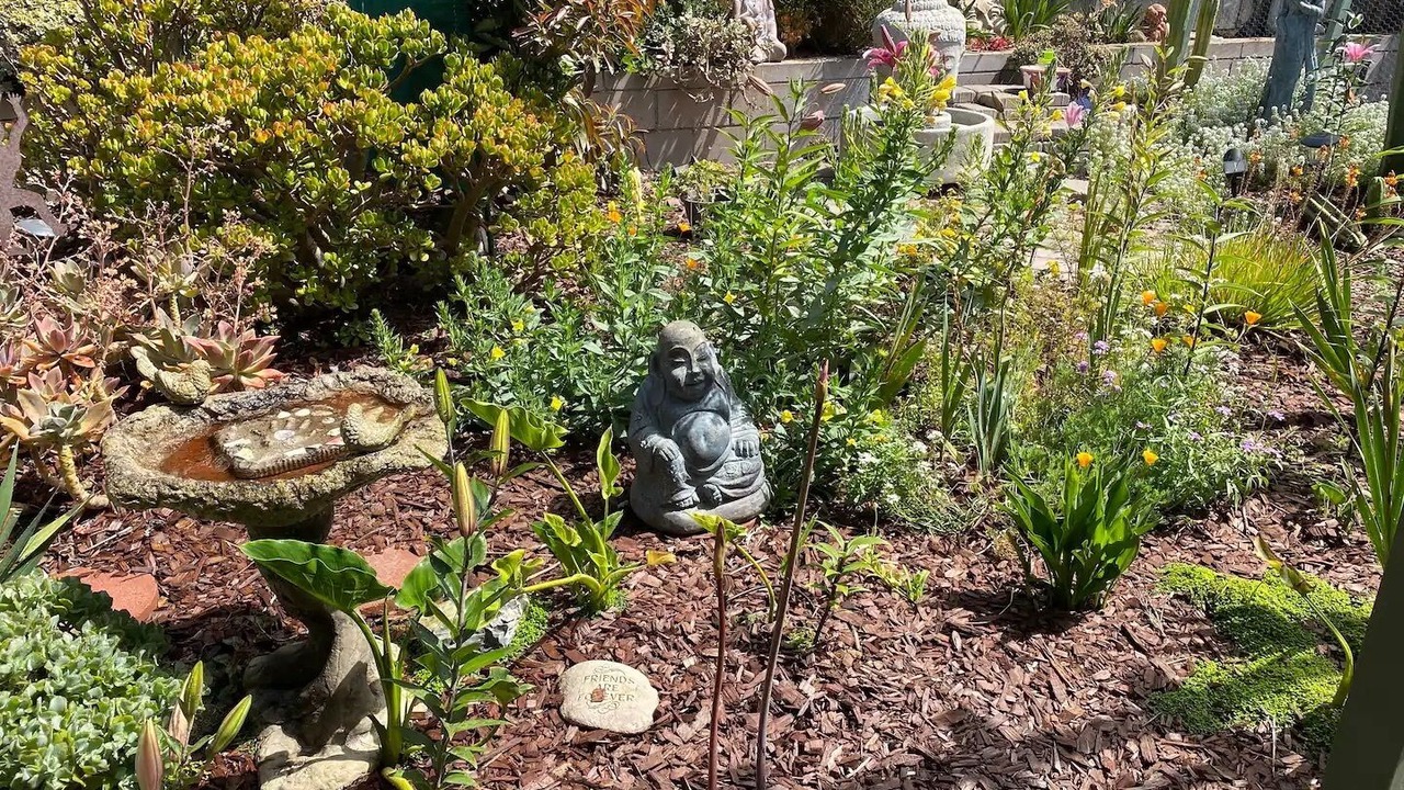 Photo of Outdoor in Baywood-Los Osos