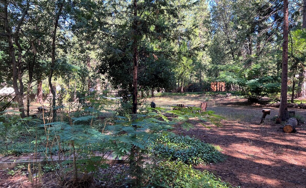 Photo of Outdoor in Nevada City