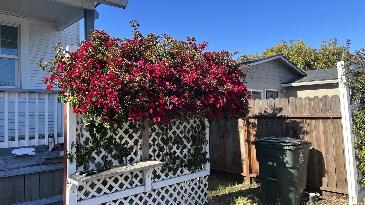 Photo of Outdoor in East Palo Alto