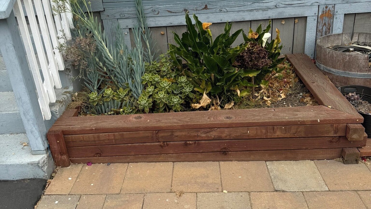 Photo of Outdoor in East Palo Alto