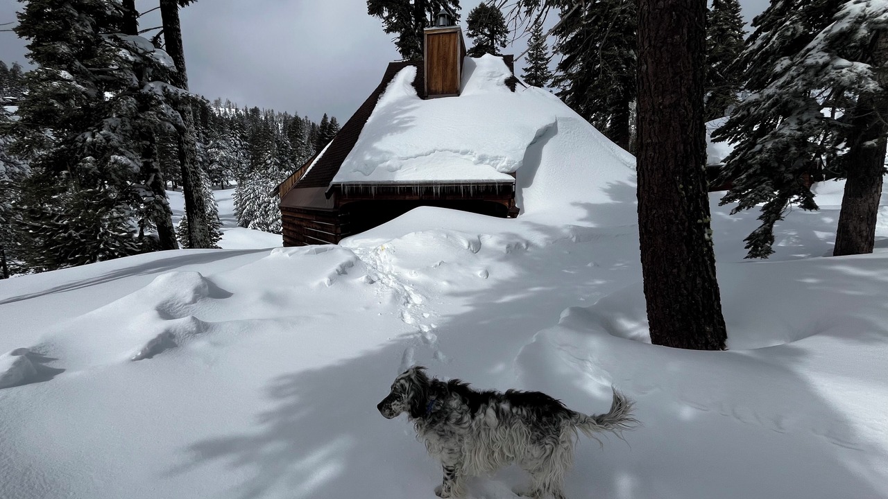 Photo of Others in Bear Valley