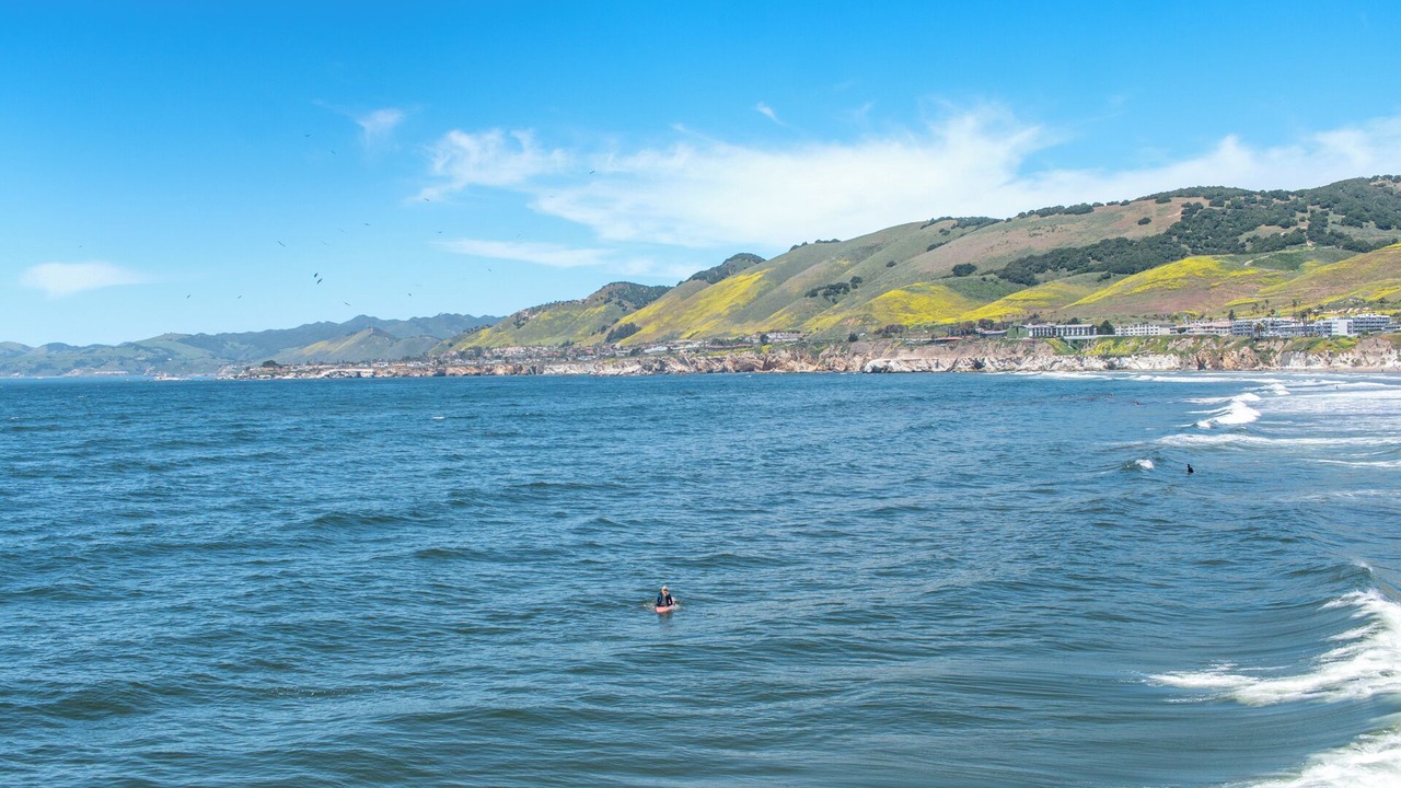 Photo of Others in Avila Beach