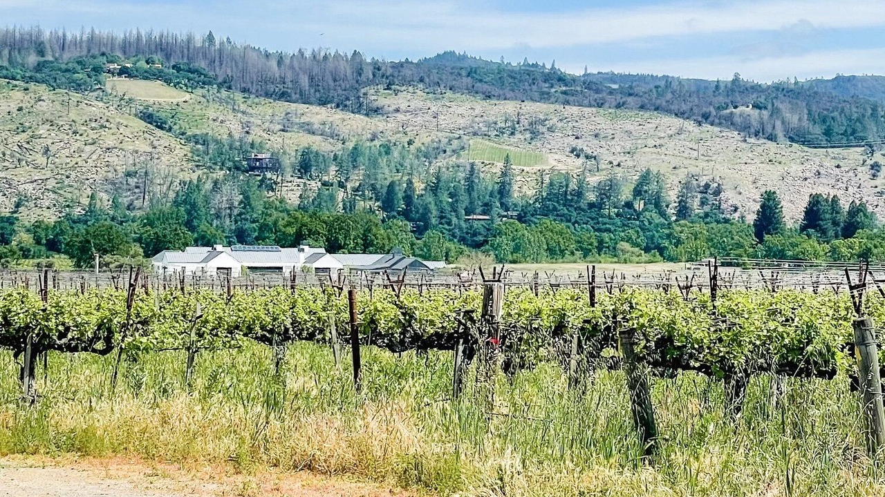 Photo of Others in St. Helena