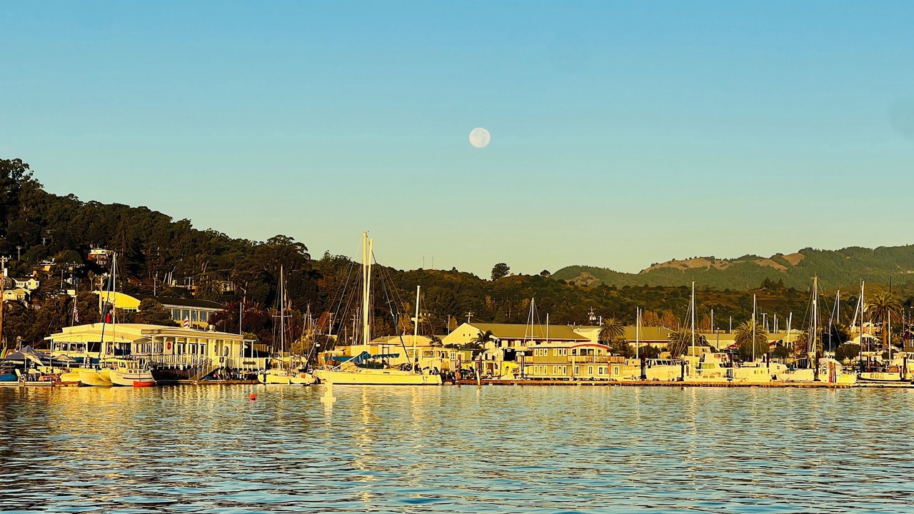 Photo of Others in Sausalito
