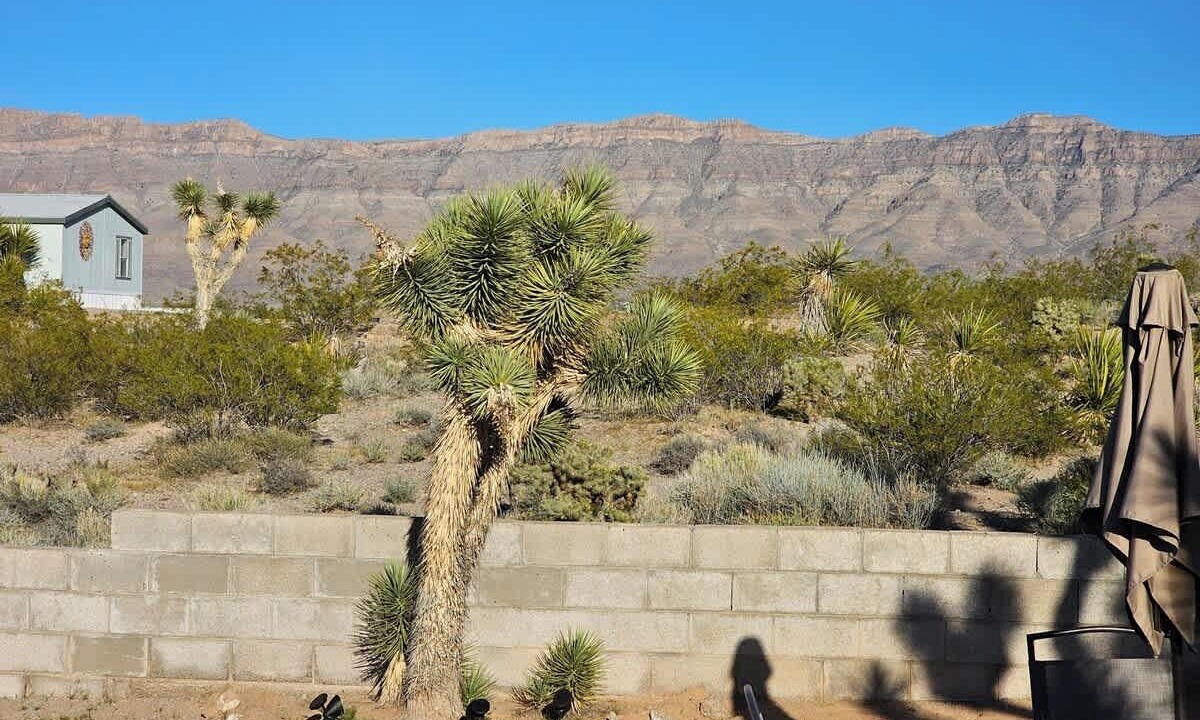 Photo of Outdoor in Meadview