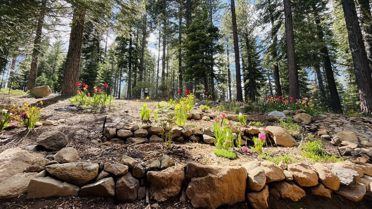 Photo of Outdoor in Truckee