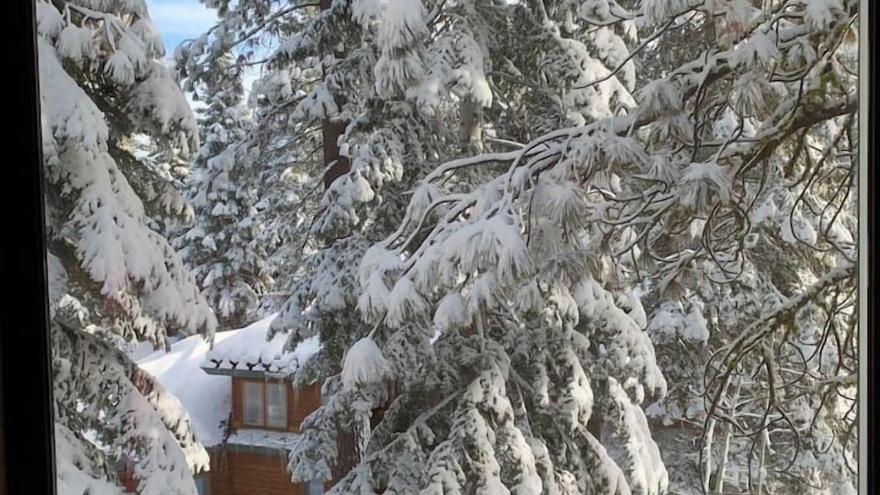 Photo of Others in Truckee