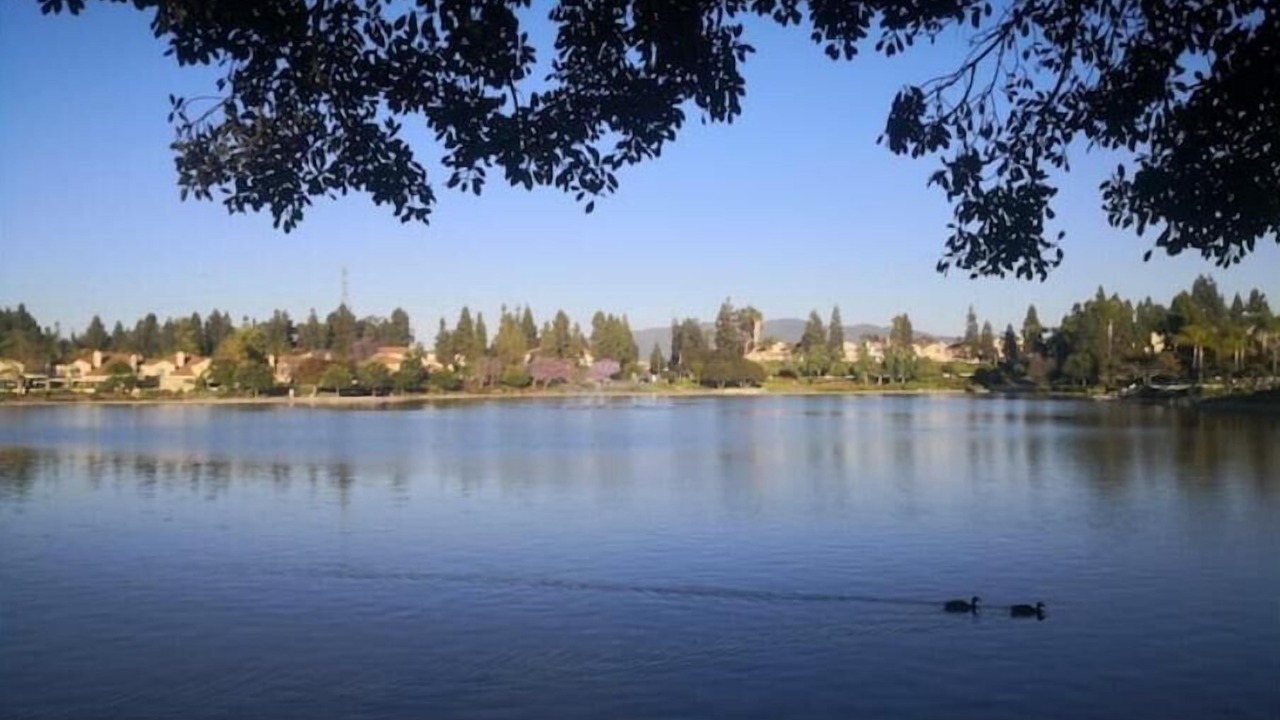 Photo of Outdoor in Eastlake