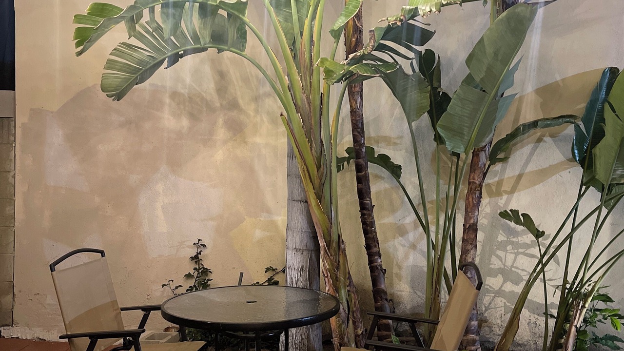 Photo of Outdoor in Santa Ana Heights