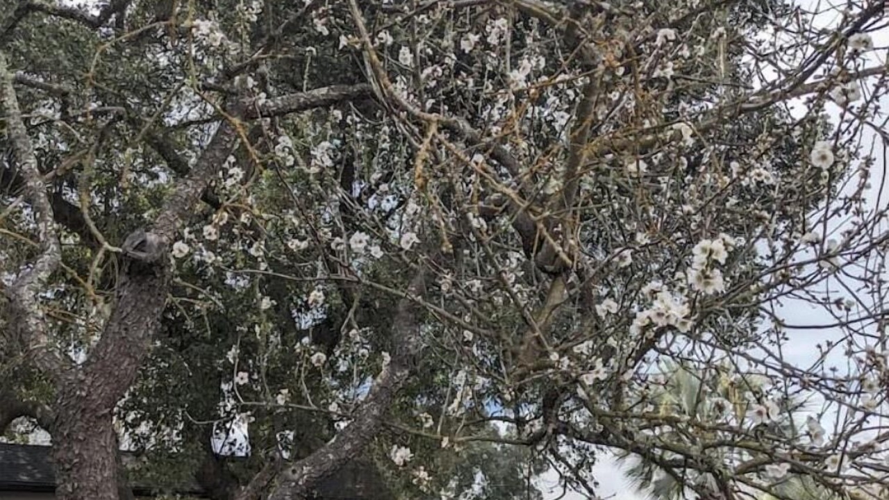Photo of Others in Atascadero