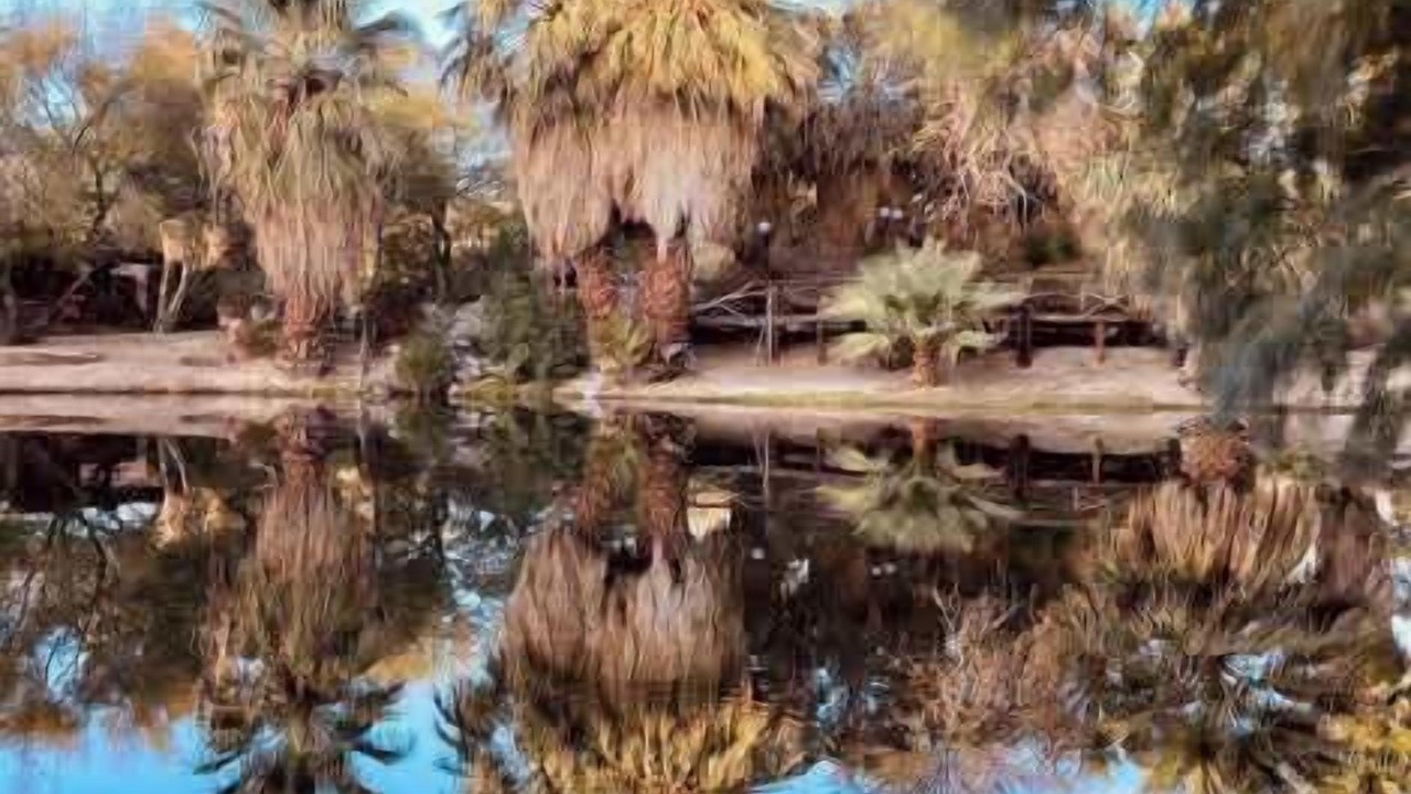 Photo of Others in Desert Hot Springs