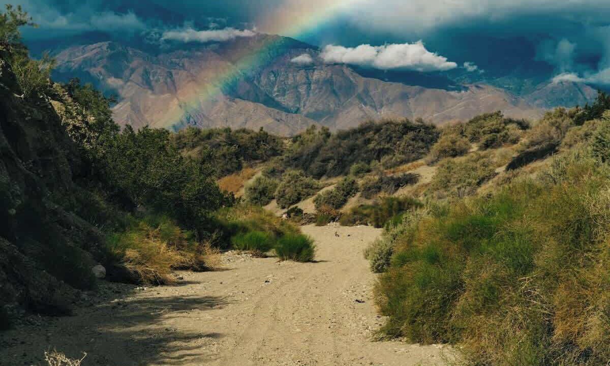 Photo of Others in Desert Hot Springs