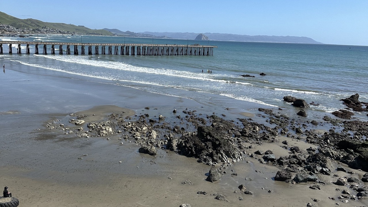Photo of Others in Cayucos