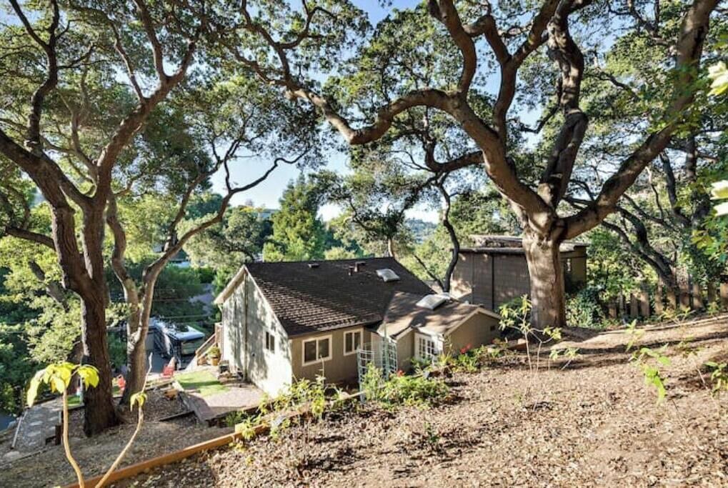 Photo of Outdoor in San Carlos
