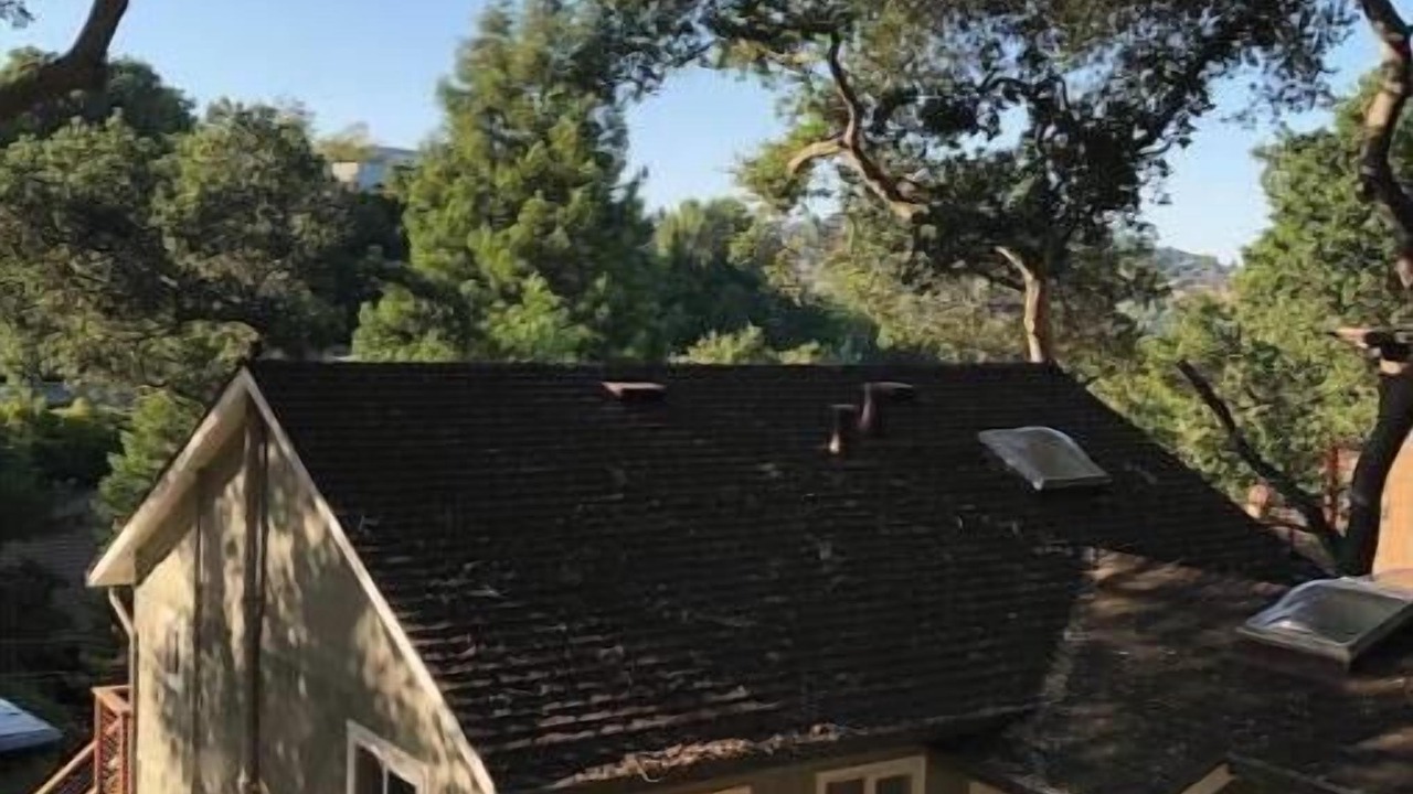 Photo of Outdoor in San Carlos