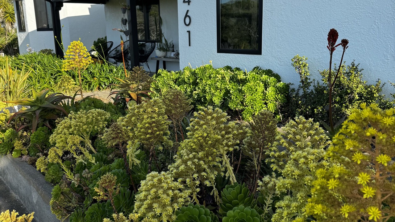 Photo of Outdoor in Baywood-Los Osos