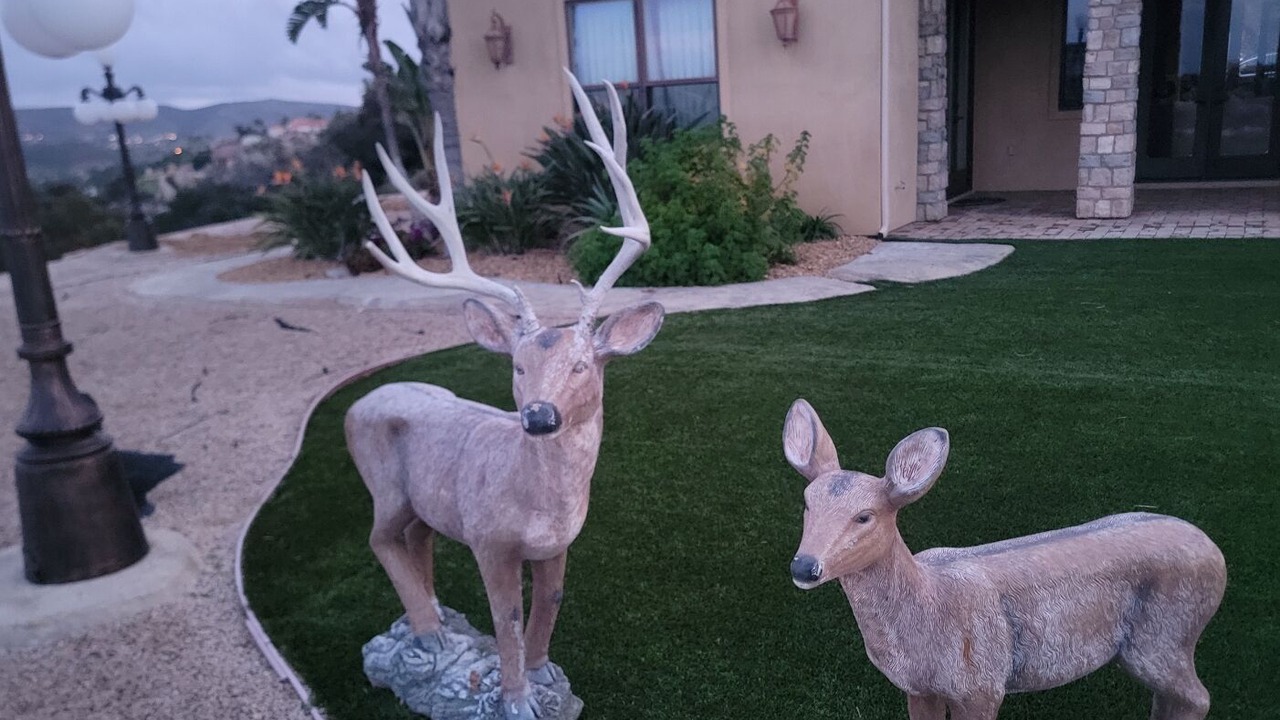 Photo of Outdoor in Murrieta