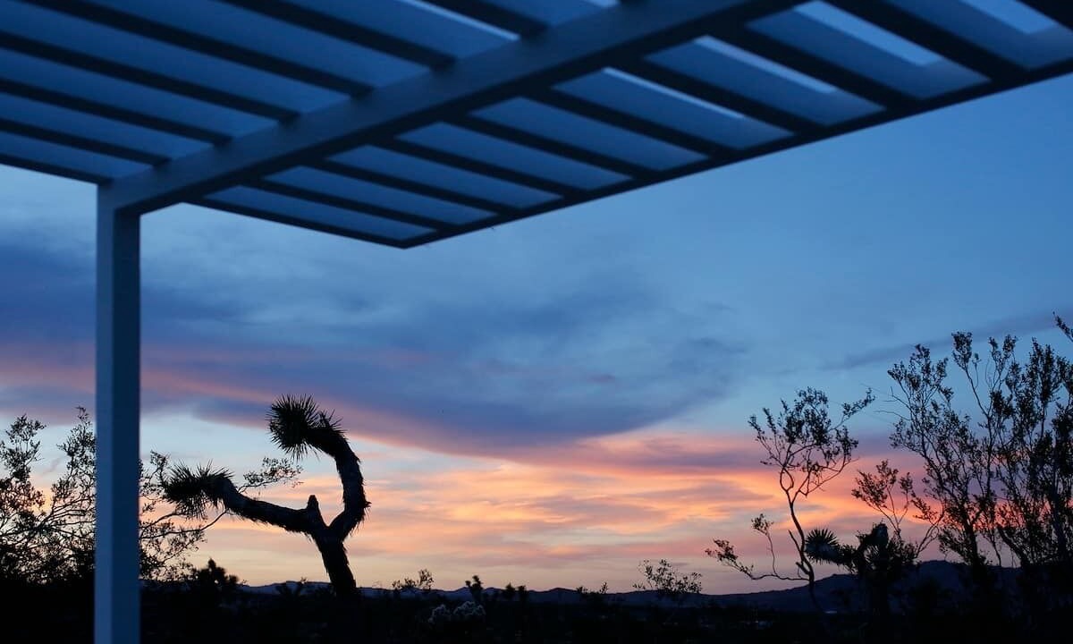 Photo of Others in Joshua Tree Highlands