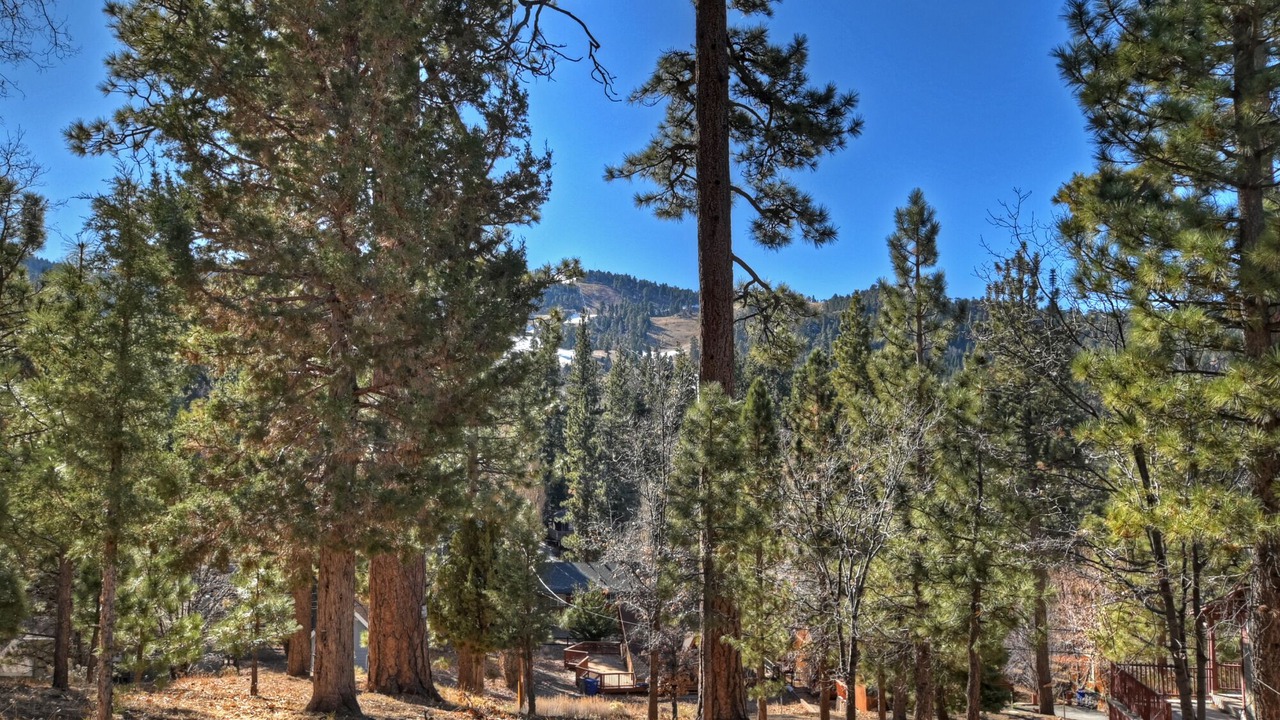 Photo of Others in Upper Moonridge