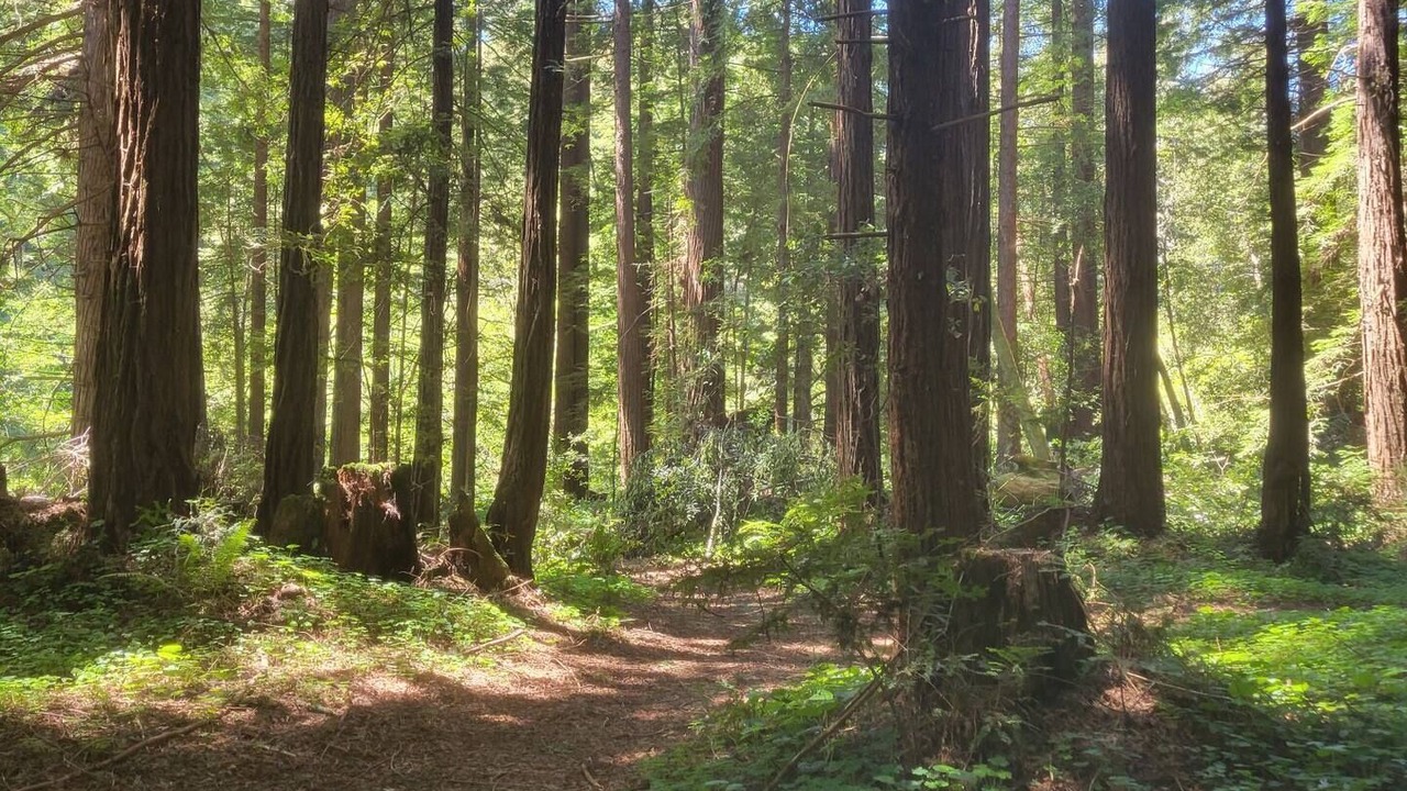 Photo of Outdoor in Aptos