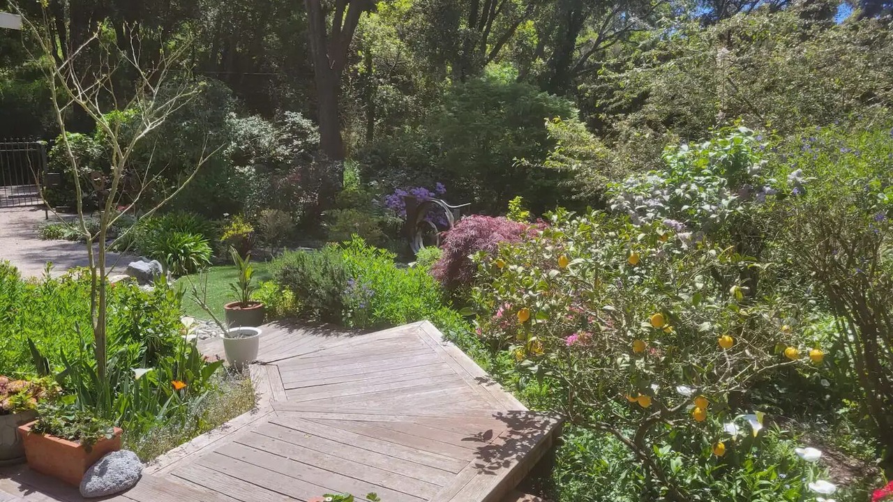 Photo of Outdoor in Aptos
