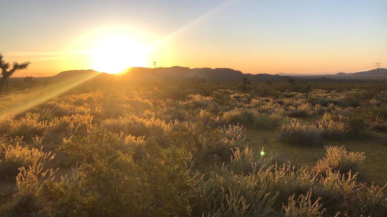 Photo of Outdoor in Rosamond