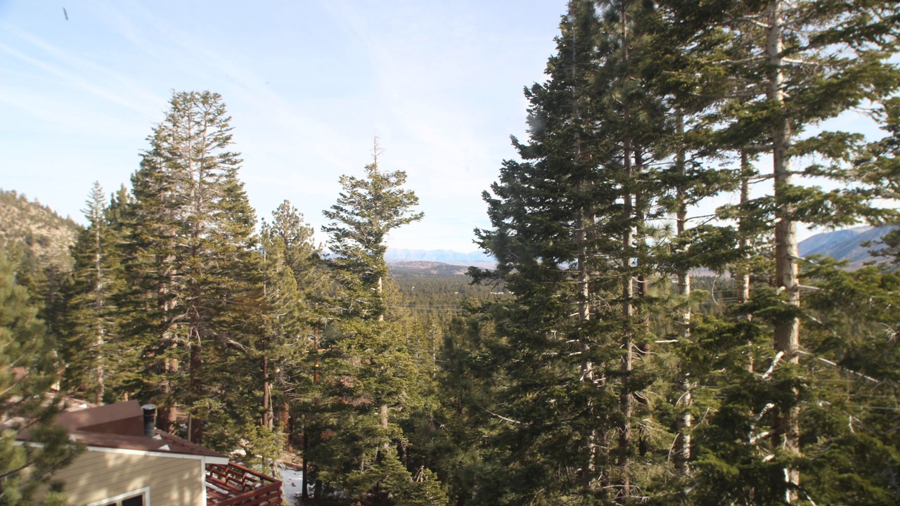 Photo of Others in Mammoth Lakes