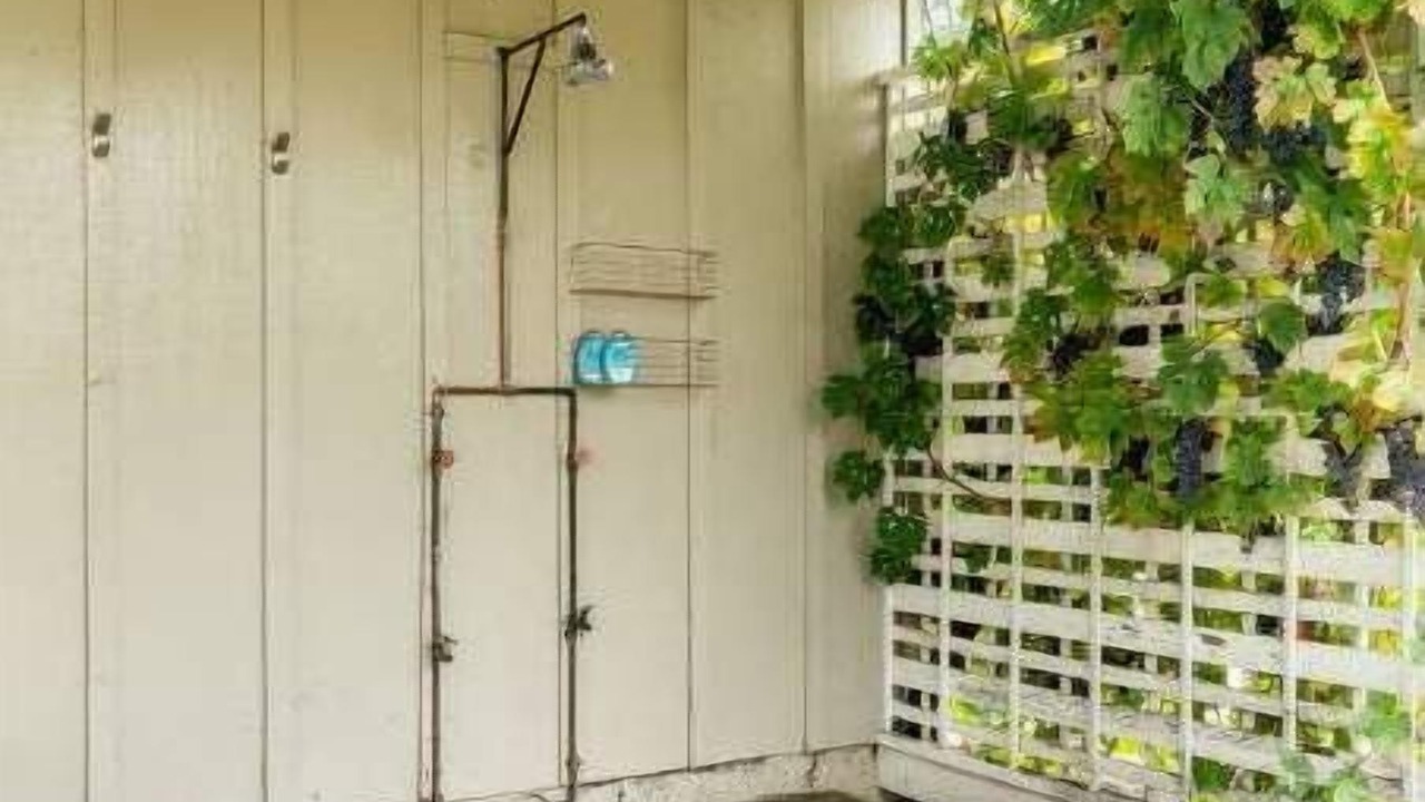 Photo of Outdoor in Geyserville
