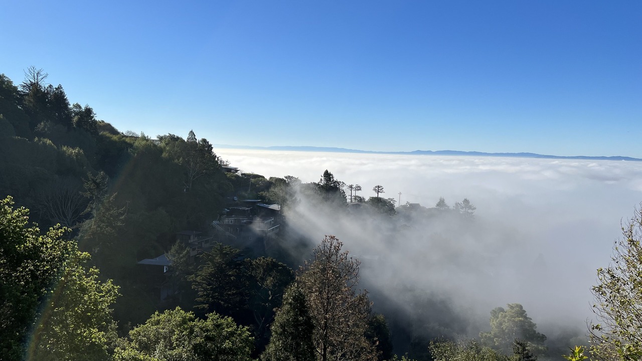 Photo of Others in Panoramic Hill